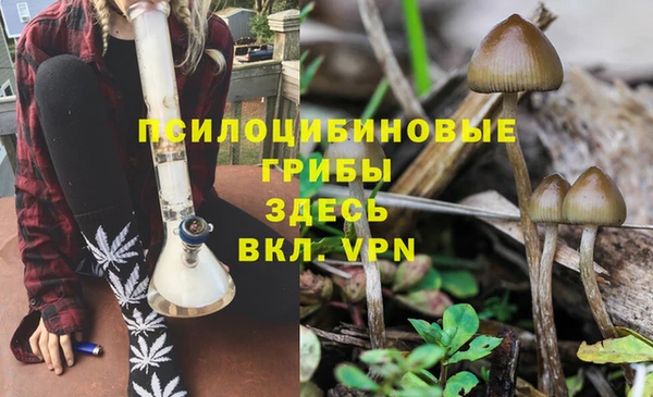 молекула духа Анива