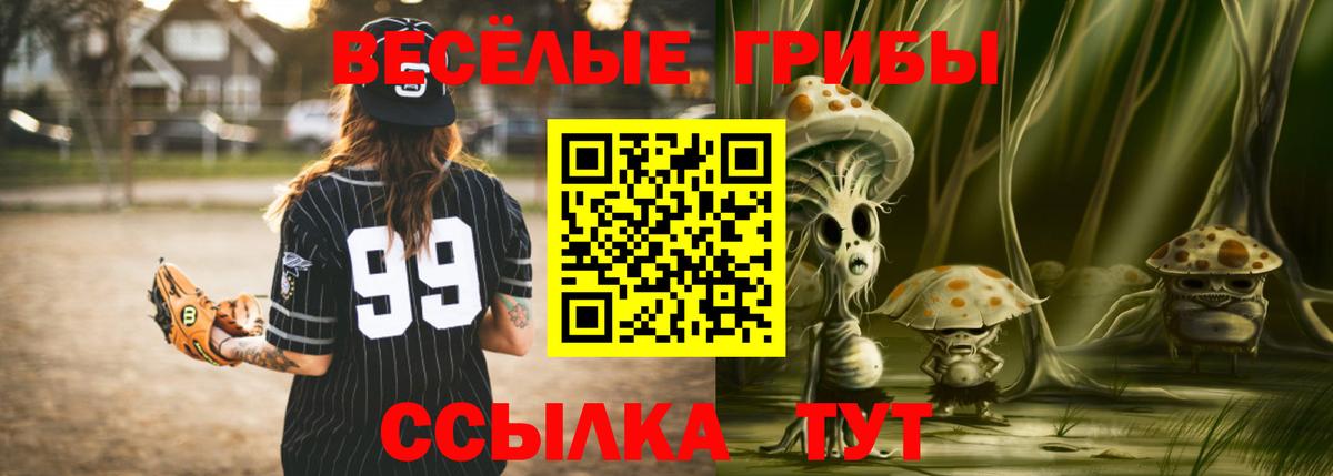 Дятьково  Псилоцибиновые грибы ЛСД  Галлюциногенные грибы Cubensis  Вход с VPN 